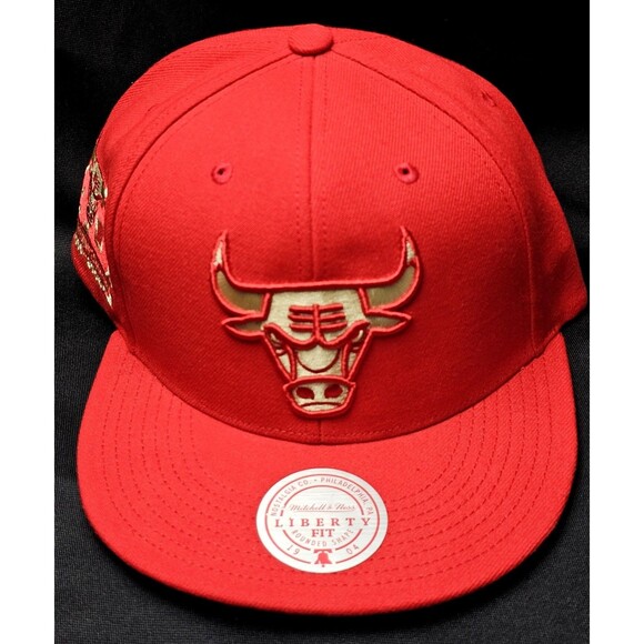 Chicago Bulls Mitchell & Ness Chrome Elements 40th Anniversary Snapback Hat NWT! - Picture 1 of 15